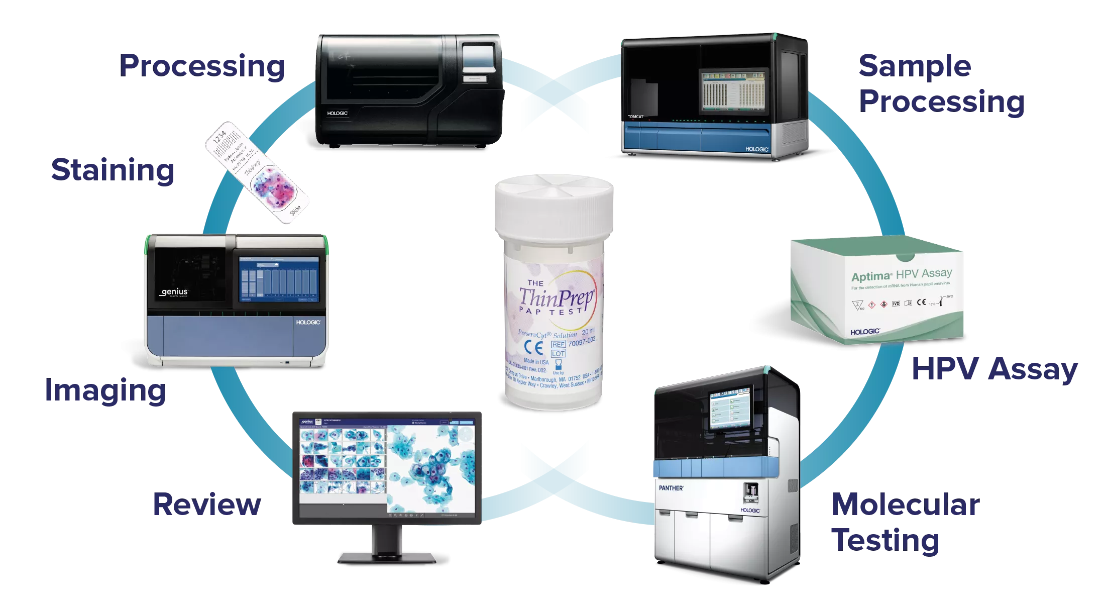 Graphic showing connection between Hologic products